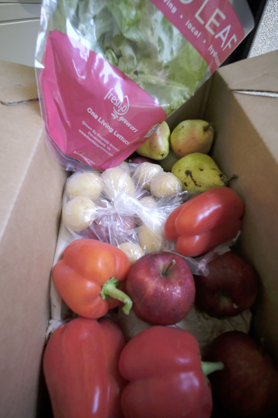 20201022_MET_RAMPANTRY_BB02